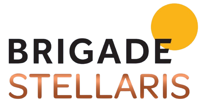 Brigade Stellaris Velachery